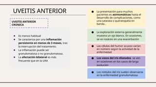 UVEITIS ANTERIOR
★ Es menos habitual
★ Se caracteriza por una inflamación
persistente en menos de 3 meses, tras
la interrupción del tratamiento.
★ La inflamación puede ser
granulomatosa o no granulomatosa.
★ La afectación bilateral es más
frecuente que en la UAA
UVEITIS ANTERIOR
CRONICA
● La presentación para muchos
pacientes es asintomáticos hasta el
desarrollo de complicaciones, como
una catarata o queratopatía en
banda..
● La exploración externa generalmente
muestra un ojo blanco. En ocasiones,
se ve rosáceo en una exacerbación
● Las células del humor acuoso varían
en número según la actividad de la
enfermedad
● Los vasos del iris dilatados se ven
en ocasiones en los casos de larga
evolución
● Los nódulos del iris suelen observarse
en la enfermedad granulomatosa.
 