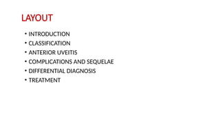 classification of uveitis and any uveitis | PPTX