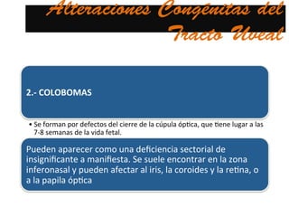 Alteraciones Congénitas del
Tracto Uveal
2.-­‐	
  COLOBOMAS	
  	
  
• Se	
  forman	
  por	
  defectos	
  del	
  cierre	
  de	
  la	
  cúpula	
  óp@ca,	
  que	
  @ene	
  lugar	
  a	
  las	
  
7-­‐8	
  semanas	
  de	
  la	
  vida	
  fetal.	
  	
  
Pueden	
  aparecer	
  como	
  una	
  deﬁciencia	
  sectorial	
  de	
  
insigniﬁcante	
  a	
  maniﬁesta.	
  Se	
  suele	
  encontrar	
  en	
  la	
  zona	
  
inferonasal	
  y	
  pueden	
  afectar	
  al	
  iris,	
  la	
  coroides	
  y	
  la	
  re@na,	
  o	
  
a	
  la	
  papila	
  óp@ca	
  
 