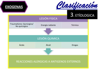 Clasificación	
  
REACCIONES	
  ALERGICAS	
  A	
  ANTIGENOS	
  EXTERNOS	
  	
  
LESIÓN	
  QUIMICA	
  
Ácido	
  	
   Álcali	
   Drogas	
  	
  
LESIÓN	
  FISICA	
  	
  
Trauma@smo:	
  Quirúrgico/	
  
No	
  quirúrgico	
  
Energía	
  radiante	
  	
   Térmica	
  	
  
EXOGENAS	
  	
  
3.	
  ETÍOLOGICA	
  	
  	
  
 