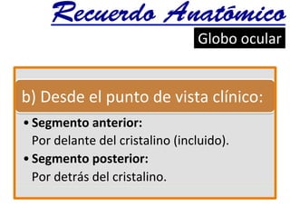 b)	
  Desde	
  el	
  punto	
  de	
  vista	
  clínico:	
  
• Segmento	
  anterior:	
  
Por	
  delante	
  del	
  cristalino	
  (incluido).	
  
• Segmento	
  posterior:	
  	
  	
  
Por	
  detrás	
  del	
  cristalino.	
  
Recuerdo Anatómico
Globo	
  ocular	
  	
  	
  	
  
 