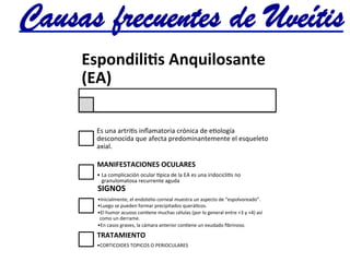 Espondilias	
  Anquilosante	
  
(EA)	
  
Es	
  una	
  artri@s	
  inﬂamatoria	
  crónica	
  de	
  e@ología	
  
desconocida	
  que	
  afecta	
  predominantemente	
  el	
  esqueleto	
  
axial.	
  
MANIFESTACIONES	
  OCULARES	
  	
  
• La	
  complicación	
  ocular	
  lpica	
  de	
  la	
  EA	
  es	
  una	
  iridocicli@s	
  no	
  
granulomatosa	
  recurrente	
  aguda	
  
SIGNOS	
  
• Inicialmente,	
  el	
  endotelio	
  corneal	
  muestra	
  un	
  aspecto	
  de	
  “espolvoreado”.	
  	
  
• Luego	
  se	
  pueden	
  formar	
  precipitados	
  querá@cos.	
  	
  
• El	
  humor	
  acuoso	
  con@ene	
  muchas	
  células	
  (por	
  lo	
  general	
  entre	
  +3	
  y	
  +4)	
  así	
  
como	
  un	
  derrame.	
  	
  
• En	
  casos	
  graves,	
  la	
  cámara	
  anterior	
  con@ene	
  un	
  exudado	
  ﬁbrinoso.	
  
TRATAMIENTO	
  	
  
• CORTICOIDES	
  TOPICOS	
  O	
  PERIOCULARES	
  	
  
Causas frecuentes de Uveítis	
  
 