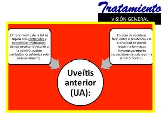 VISIÓN	
  GENERAL	
  	
  
Tratamiento
Uveías	
  
anterior	
  
(UA):	
  
El	
  tratamiento	
  de	
  la	
  UA	
  es	
  
tópico	
  con	
  cor@coides	
  y	
  
ciclopléjico-­‐midriá@cos,	
  
siendo	
  necesario	
  recurrir	
  a	
  
la	
  administración	
  
peribulbar	
  o	
  sistémica	
  solo	
  
ocasionalmente.	
  
En	
  caso	
  de	
  recidivas	
  
frecuentes	
  o	
  tendencia	
  a	
  la	
  
cronicidad	
  se	
  puede	
  
recurrir	
  a	
  fármacos	
  
inmunosupresores	
  
(especialmente	
  salazopirina	
  
o	
  metotrexato).	
  
 