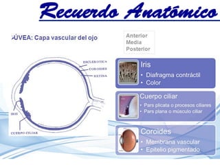 Recuerdo Anatómico
 
