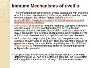 Immune Mechanisms of uveitis
 The immunologic mechanisms of uveitis associated with systemic
or autoimmune diseases are multifactorial, and the exact process
remains unclear. But, known factors include genetic
susceptibility, previous exposure to infectious agents and
loss of immune privilege.
 Genetic susceptibility to immune-mediated diseases is linked to
specific human leukocyte antigen (HLA) subtypes. Human
leukocyte antigens are associated with immune responses and
play a prominent role in organ transplant rejection, vulnerability to
autoimmune diseases and susceptibility to infectious diseases.
 HLA molecules are proteins (peptides) that are present on the
surfaces of many cells of the body. They represent the product of
genes comprising the major histocompatibility complex (MHC) on
chromosome 6. Human leukocyte antigens function to present
antigen to lymphocytes.
 Lymphocytes, in turn, recognize the HLA proteins of other cells,
determining self vs. non-self, or foreign cells. So, the HLA system
helps regulate the nature and strength of immune responses.
 