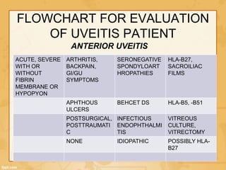FLOWCHART FOR EVALUATION
OF UVEITIS PATIENT
ACUTE, SEVERE
WITH OR
WITHOUT
FIBRIN
MEMBRANE OR
HYPOPYON
ARTHRITIS,
BACKPAIN,
GI/GU
SYMPTOMS
SERONEGATIVE
SPONDYLOART
HROPATHIES
HLA-B27,
SACROILIAC
FILMS
APHTHOUS
ULCERS
BEHCET DS HLA-B5, -B51
POSTSURGICAL,
POSTTRAUMATI
C
INFECTIOUS
ENDOPHTHALMI
TIS
VITREOUS
CULTURE,
VITRECTOMY
NONE IDIOPATHIC POSSIBLY HLA-
B27
ANTERIOR UVEITIS
 