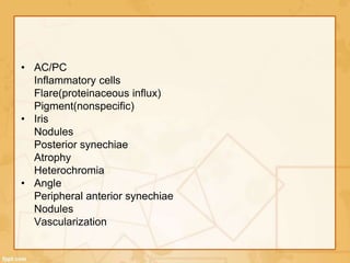 • AC/PC
Inflammatory cells
Flare(proteinaceous influx)
Pigment(nonspecific)
• Iris
Nodules
Posterior synechiae
Atrophy
Heterochromia
• Angle
Peripheral anterior synechiae
Nodules
Vascularization
 