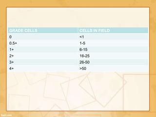 GRADE CELLS CELLS IN FIELD
0 <1
0.5+ 1-5
1+ 6-15
2+ 16-25
3+ 26-50
4+ >50
 