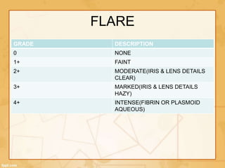 FLARE
GRADE DESCRIPTION
0 NONE
1+ FAINT
2+ MODERATE(IRIS & LENS DETAILS
CLEAR)
3+ MARKED(IRIS & LENS DETAILS
HAZY)
4+ INTENSE(FIBRIN OR PLASMOID
AQUEOUS)
 