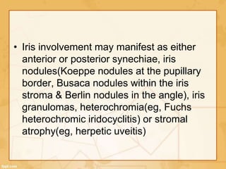 • Iris involvement may manifest as either
anterior or posterior synechiae, iris
nodules(Koeppe nodules at the pupillary
border, Busaca nodules within the iris
stroma & Berlin nodules in the angle), iris
granulomas, heterochromia(eg, Fuchs
heterochromic iridocyclitis) or stromal
atrophy(eg, herpetic uveitis)
 