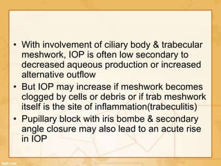 • With involvement of ciliary body & trabecular
meshwork, IOP is often low secondary to
decreased aqueous production or increased
alternative outflow
• But IOP may increase if meshwork becomes
clogged by cells or debris or if trab meshwork
itself is the site of inflammation(trabeculitis)
• Pupillary block with iris bombe & secondary
angle closure may also lead to an acute rise
in IOP
 