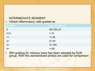 INTERMEDIATE SEGMENT
• Vitreal inflammatory cells graded as
• NIH grading for vitreous haze has been adopted by SUN
group. With this standardized photos are used for comparison
GRADE NO. OF CELLS
0 NO CELLS
0.5+ 1-10
1+ 11-20
2+ 21-30
3+ 31-100
4+ >100
 