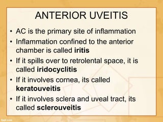 ANTERIOR UVEITIS
• AC is the primary site of inflammation
• Inflammation confined to the anterior
chamber is called iritis
• If it spills over to retrolental space, it is
called iridocyclitis
• If it involves cornea, its called
keratouveitis
• If it involves sclera and uveal tract, its
called sclerouveitis
 