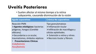 Uveítis Posteriores
• Suelen afectar al mismo tiempo a la retina
subyacente, causando disminución de la visión
Aguda supurativas Crónica No supurativas
Reacción PMN
Agentes etiológicos: bacterias
piógenas, hongos (Candida
albicans).
Secundarias a cx ocular,
traumatismos, émbolos sépticos
• Presentaciones Clínicas
Endoftalmitis
Panoftalmitis
Tipo granulomatoso
Inflamación tisular
Infiltración de macrófagos y
células epiteliodes.
 Extensión a retina y vítreo.
Necrosis tisular y fibrosis
 