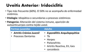 Uveitis Anterior/ Iridociclitis
• Tipo más frecuente (60%). El 50% no se acompaña de enfermedad
sistémica.
• Etiología: Idiopática o secundarias a procesos sistémicos
• Patogenia: Alteración del sistema inmune, aparición de
autoanticuerpos contra tejido uveal.
Formas juveniles Adulto
• Artritis Crónica Juvenil
• Procesos Dentarios
• Espondilitis Anquilopoyética
• Tb
• Herpes
• Pielonefritis
• Artritis Reactiva, EII, lúes
• sarcoidosis
 
