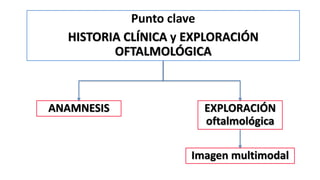 Punto clave
HISTORIA CLÍNICA y EXPLORACIÓN
OFTALMOLÓGICA
ANAMNESIS EXPLORACIÓN
oftalmológica
Imagen multimodal
 