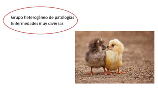 Grupo heterogéneo de patologías
Enfermedades muy diversas
 