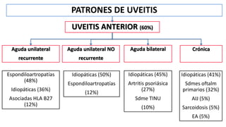 PATRONES DE UVEITIS
UVEITIS ANTERIOR (60%)
Aguda unilateral
recurrente
Aguda unilateral NO
recurrente
Aguda bilateral Crónica
Espondiloartropatías
(48%)
Idiopáticas (36%)
Asociadas HLA B27
(12%)
Idiopáticas (50%)
Espondiloartropatías
(12%)
Idiopáticas (45%)
Artritis psoriásica
(27%)
Sdme TINU
(10%)
Idiopáticas (41%)
Sdmes oftalm
primarios (32%)
AIJ (5%)
Sarcoidosis (5%)
EA (5%)
 