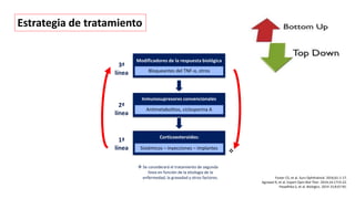 Estrategia de tratamiento
1ª
línea
3ª
línea
2ª
línea

 Se considerará el tratamiento de segunda
línea en función de la etiología de la
enfermedad, la gravedad y otros factores. Foster CS, et al. Surv Ophthalmol. 2016;61:1-17.
Agrawal R, et al. Expert Opin Biol Ther. 2014;14:1719-22.
Pasadhika S, et al. Biologics. 2014 15;8:67-81.
Antimetabolitos, ciclosporina A
Bloqueantes del TNF-⍺, otros
Inmunosupresores convencionales
Modificadores de la respuesta biológica
Sistémicos – Inyecciones – Implantes
Corticoesteroides:
 