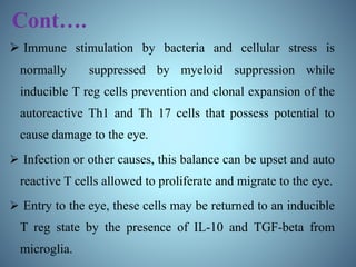 Cont….
 Immune stimulation by bacteria and cellular stress is
normally suppressed by myeloid suppression while
inducible T reg cells prevention and clonal expansion of the
autoreactive Th1 and Th 17 cells that possess potential to
cause damage to the eye.
 Infection or other causes, this balance can be upset and auto
reactive T cells allowed to proliferate and migrate to the eye.
 Entry to the eye, these cells may be returned to an inducible
T reg state by the presence of IL-10 and TGF-beta from
microglia.
 
