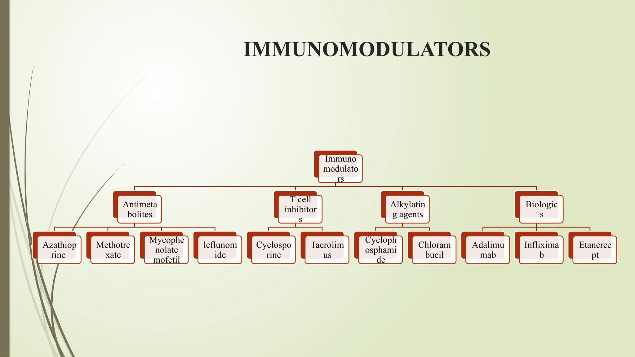 IMMUNOMODULATORS
Immuno
modulato
rs
Antimeta
bolites
Azathiop
rine
Methotre
xate
Mycophe
nolate
mofetil
leflunom
ide
T cell
inhibitor
s
Cyclospo
rine
Tacrolim
us
Alkylatin
g agents
Cycloph
osphami
de
Chloram
bucil
Biologic
s
Adalimu
mab
Inflixima
b
Etanerce
pt
 