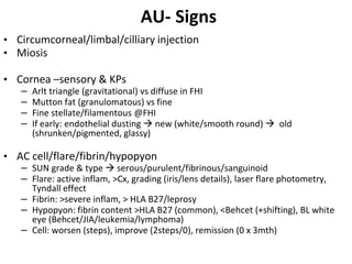 Uveitis: Notes | PPTX