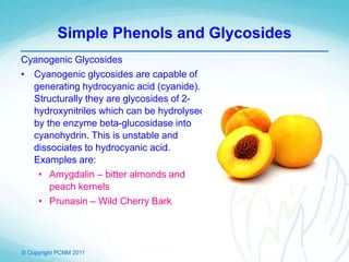 © Copyright PCNM 2011
Simple Phenols and Glycosides
Cyanogenic Glycosides
• Cyanogenic glycosides are capable of
generating hydrocyanic acid (cyanide).
Structurally they are glycosides of 2-
hydroxynitriles which can be hydrolysed
by the enzyme beta-glucosidase into
cyanohydrin. This is unstable and
dissociates to hydrocyanic acid.
Examples are:
• Amygdalin – bitter almonds and
peach kernels
• Prunasin – Wild Cherry Bark
 
