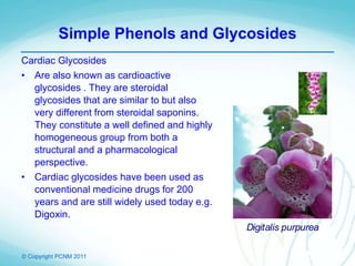 © Copyright PCNM 2011
Simple Phenols and Glycosides
Cardiac Glycosides
• Are also known as cardioactive
glycosides . They are steroidal
glycosides that are similar to but also
very different from steroidal saponins.
They constitute a well defined and highly
homogeneous group from both a
structural and a pharmacological
perspective.
• Cardiac glycosides have been used as
conventional medicine drugs for 200
years and are still widely used today e.g.
Digoxin.
Digitalis purpurea
 