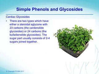 © Copyright PCNM 2011
Simple Phenols and Glycosides
Cardiac Glycosides
• There are two types which have
either a steroidal aglycone with
23 carbons (the cardenolide
glycosides) or 24 carbons (the
bufadienolide glycosides). The
sugar part usually consists of 2-4
sugars joined together.
 