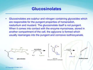 © Copyright PCNM 2011
Glucosinolates
• Glucosinolates are sulphur and nitrogen containing glycosides which
are responsible for the pungent properties of horseradish,
nasturtium and mustard. The glucosinolate itself is not pungent.
When it comes into contact with the enzyme myrosinase, stored in
another compartment of the cell, the aglycone is formed which
usually rearranges into the pungent and corrosive isothiocyanate.
 