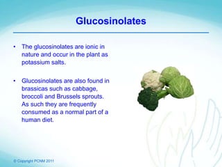 © Copyright PCNM 2011
Glucosinolates
• The glucosinolates are ionic in
nature and occur in the plant as
potassium salts.
• Glucosinolates are also found in
brassicas such as cabbage,
broccoli and Brussels sprouts.
As such they are frequently
consumed as a normal part of a
human diet.
 
