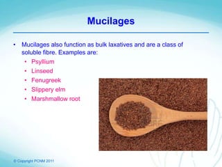 © Copyright PCNM 2011
Mucilages
• Mucilages also function as bulk laxatives and are a class of
soluble fibre. Examples are:
• Psyllium
• Linseed
• Fenugreek
• Slippery elm
• Marshmallow root
 
