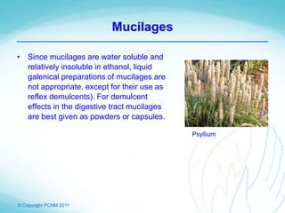 © Copyright PCNM 2011
Mucilages
• Since mucilages are water soluble and
relatively insoluble in ethanol, liquid
galenical preparations of mucilages are
not appropriate, except for their use as
reflex demulcents). For demulcent
effects in the digestive tract mucilages
are best given as powders or capsules.
Psyllium
 