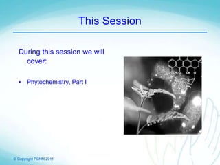 © Copyright PCNM 2011
This Session
During this session we will
cover:
• Phytochemistry, Part I
 