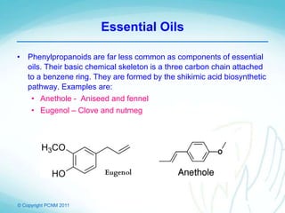© Copyright PCNM 2011
Essential Oils
• Phenylpropanoids are far less common as components of essential
oils. Their basic chemical skeleton is a three carbon chain attached
to a benzene ring. They are formed by the shikimic acid biosynthetic
pathway. Examples are:
• Anethole - Aniseed and fennel
• Eugenol – Clove and nutmeg
 