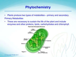 © Copyright PCNM 2011
Phytochemistry
• Plants produce two types of metabolites – primary and secondary.
Primary Metabolites
• These are necessary to sustain the life of the plant and include
enzymes and other proteins, lipids, carbohydrates and chlorophyll.
 
