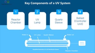 Key Components of a UV System
12
Simplified Illustration of a UV Disinfection System
Water in Water out
Reactor Chamber
Quartz SleeveUV Lamp
Ballast
Controls
Reactor
Chamber
UV
Lamp
Quartz
Sleeve
Ballast
(Controller
Unit)
1 2 3 4
 