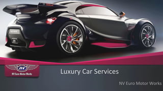 Luxury Car Services 
NV Euro Motor Works 
 