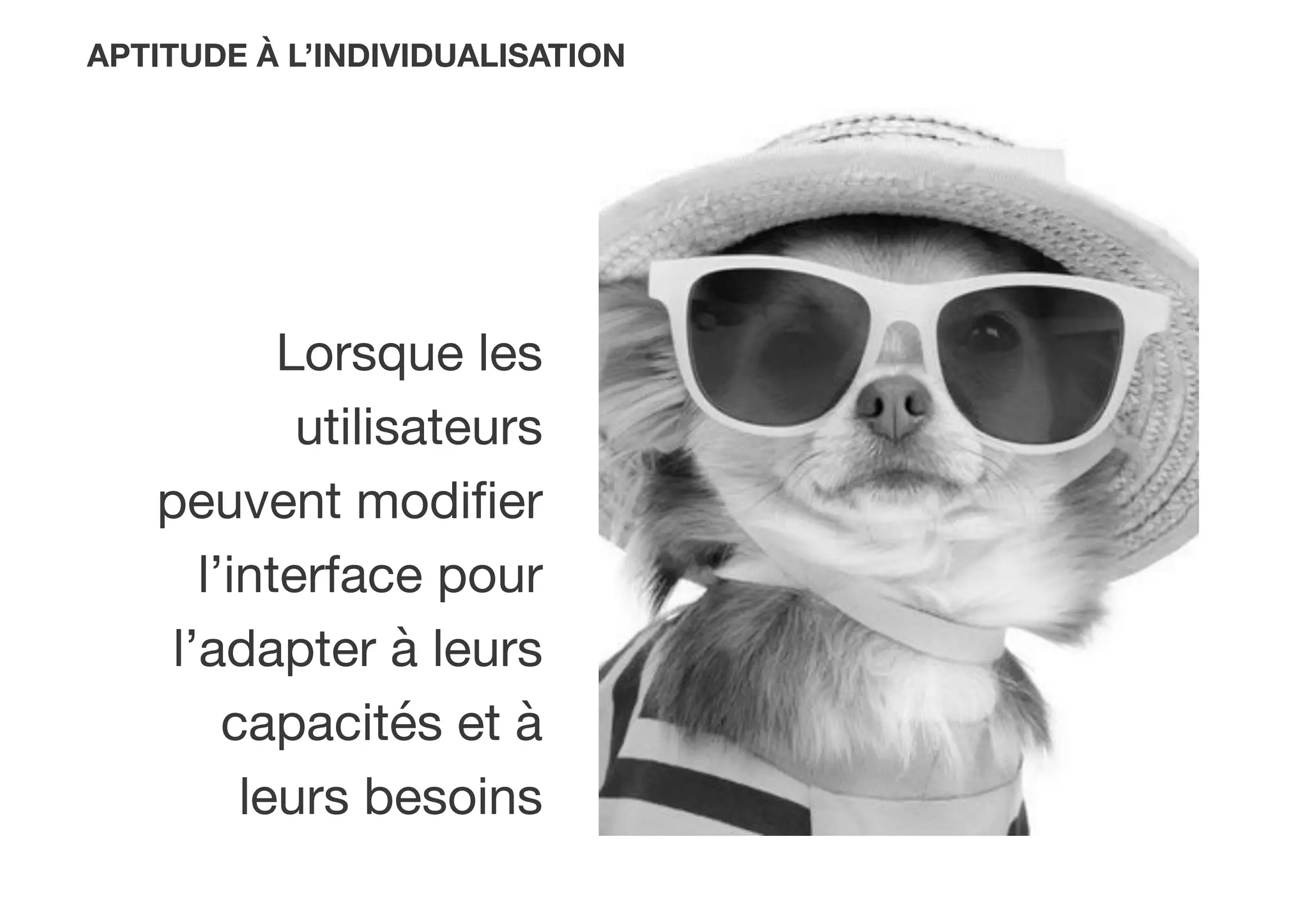 APTITUDE À L’INDIVIDUALISATION
Lorsque les
utilisateurs
peuvent modiﬁer
l’interface pour
l’adapter à leurs
capacités et à
leurs besoins
 