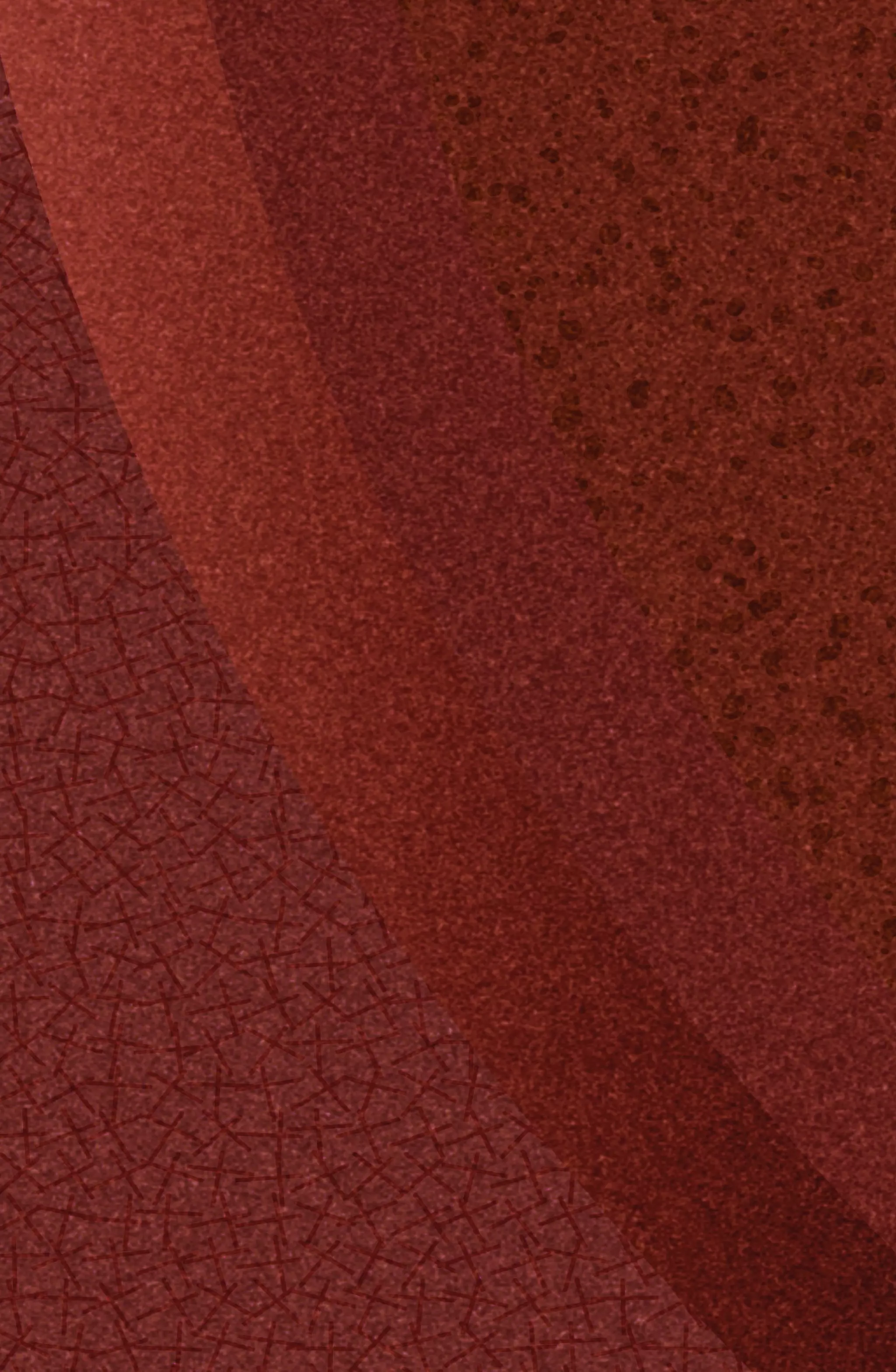 2ორგანიზებულ დანაშაულთან ბრძოლის მექანიზმები