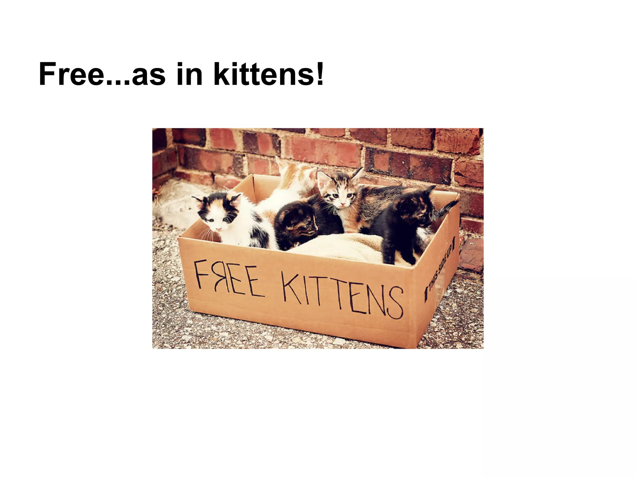 Free...as in kittens!
 