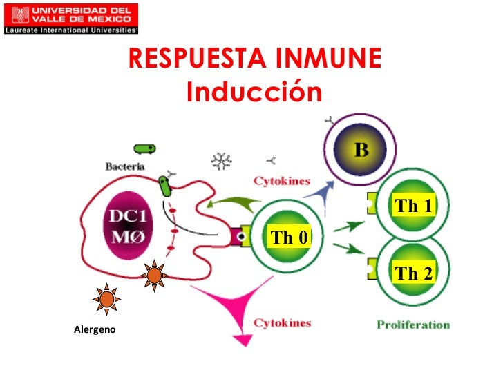 Generalidades en las Respuestas Inmunitarias