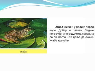 U vodi i_oko_nje_1.razred