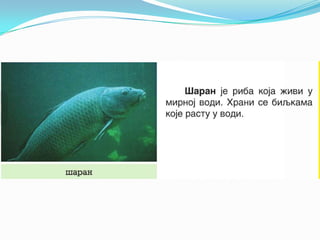 U vodi i_oko_nje_1.razred