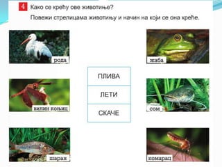 U vodi i_oko_nje_1.razred