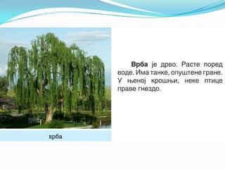 U vodi i_oko_nje_1.razred