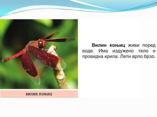 U vodi i_oko_nje_1.razred