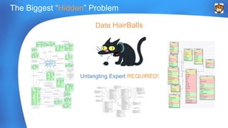 The Biggest “Hidden” Problem 
Data HairBalls 
Untangling Expert REQUIRED! 
 