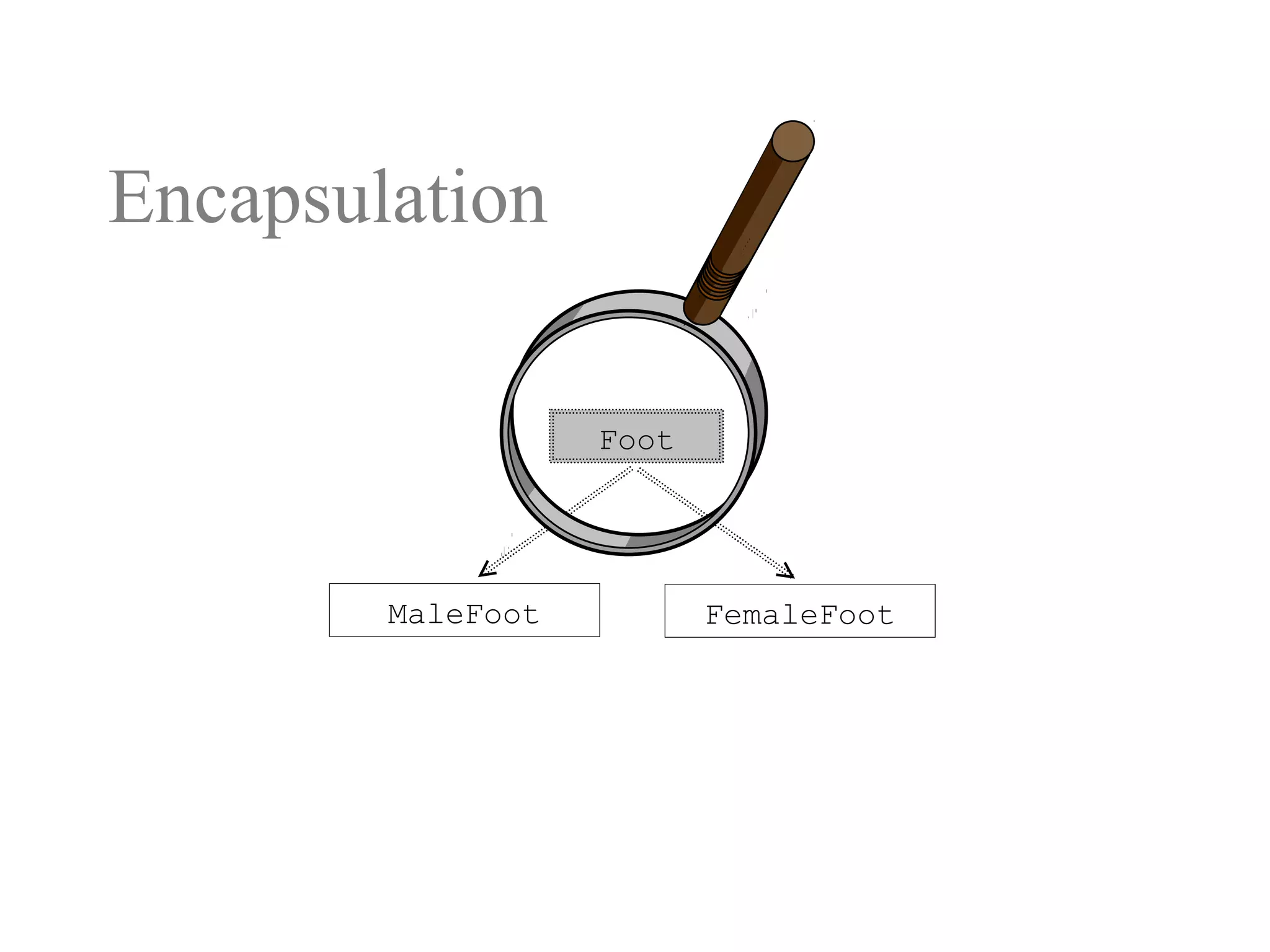Encapsulation
MaleFoot FemaleFoot
Foot
 