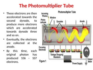 • These electrons are then
accelerated towards the
second dynode, to
produce more electrons
which are accelerated
towards dynode three
and so on.
• Eventually, the electrons
are collected at the
anode.
• By this time, each
original photon has
produced 106 - 107
electrons.
The Photomultiplier Tube
 